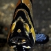 cardinalfish_banggai_kbrtk2_v_0392_sul7436.jpg